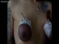 Extreme breast punishment for this tattooed pure-breasted cougar